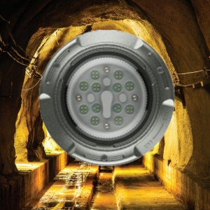 Explosion Proof LED Fixture